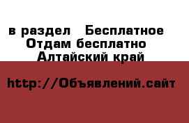  в раздел : Бесплатное » Отдам бесплатно . Алтайский край